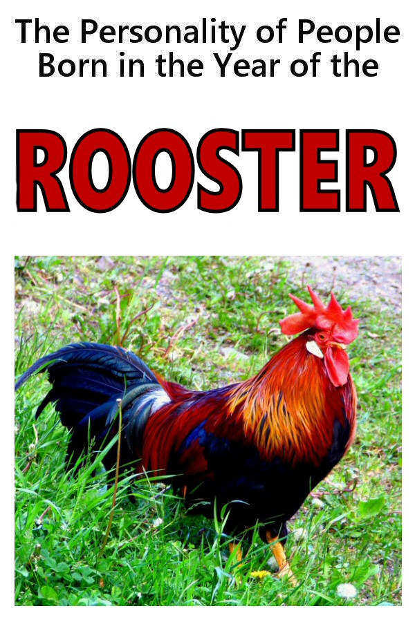 Year Of The Rooster Personality Of People Born In The Year Of The Rooster