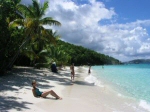 Beach with palm trees