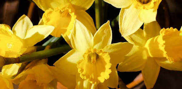 Celebrations Events Special Days In March 2022