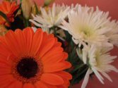 Mother's Day Flowers