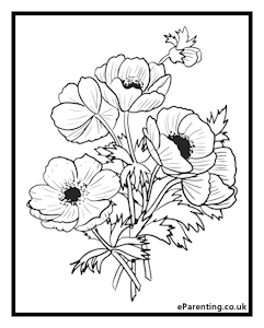 Bunch of Poppies Colouring Picture