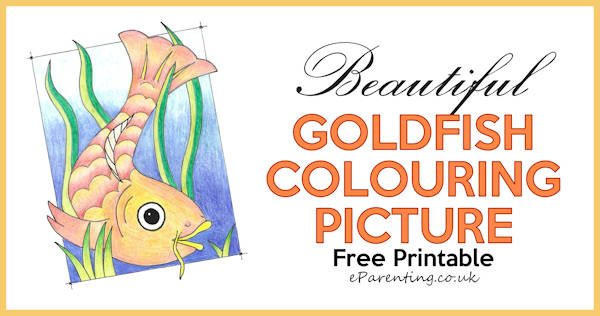 Free Printable Goldfish Colouring Picture