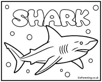 Shark Colouring Picture