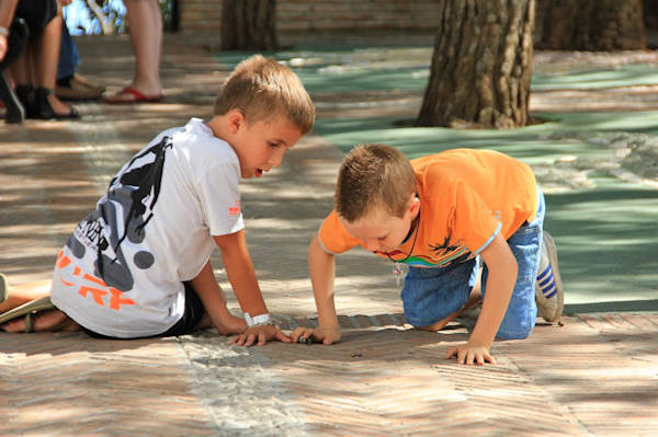 Summer Holiday Activities For Kids 2022