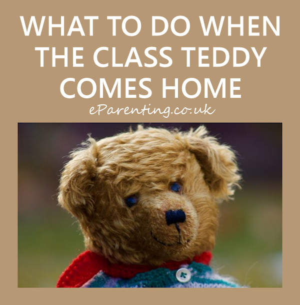 The Class Teddy - The Uninvited Weekend Guest