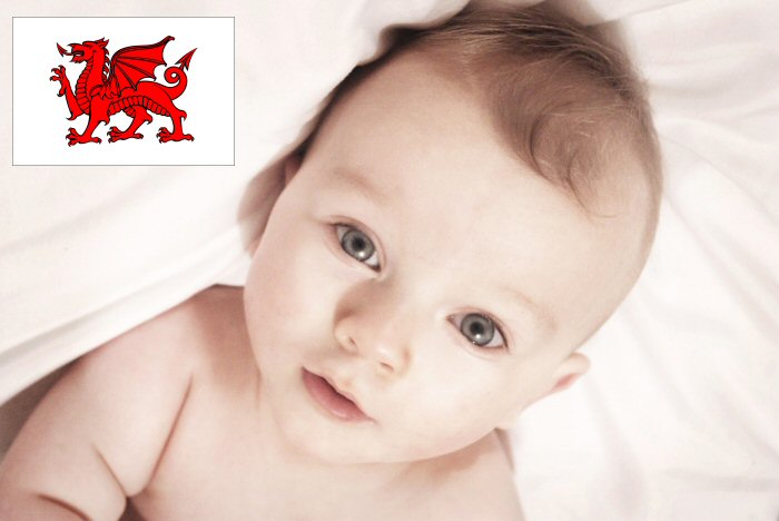 Welsh Baby Names