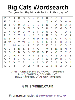 Big Cats Wordsearch