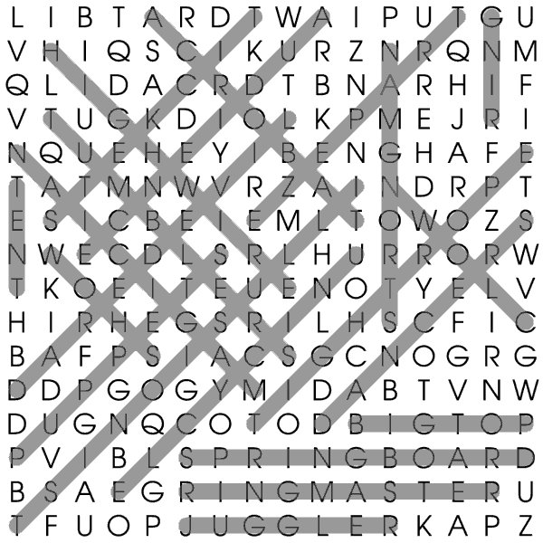 Circus Puzzle Solution